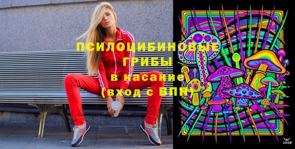 a pvp Новозыбков