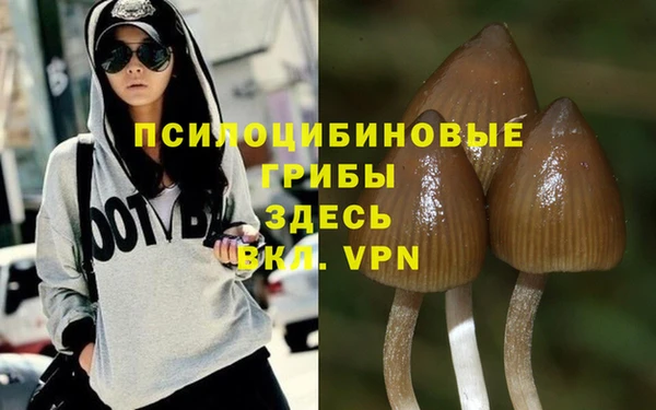 a pvp Новозыбков