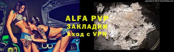a pvp Новозыбков