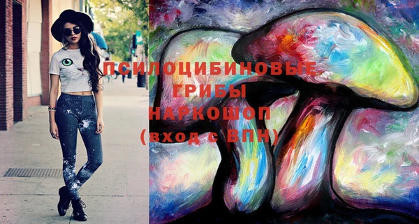 ГАЛЛЮЦИНОГЕННЫЕ ГРИБЫ Новодвинск