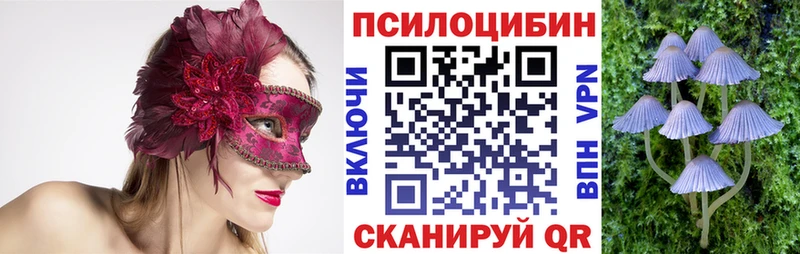 даркнет сайт Нестеровская Галлюциногенные грибы Cubensis